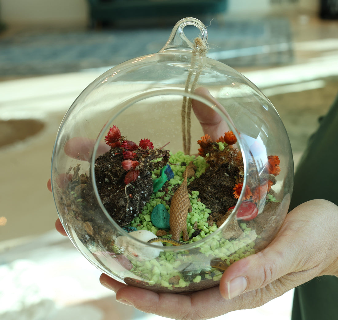 What happens at a children's terrarium session in Dubai?